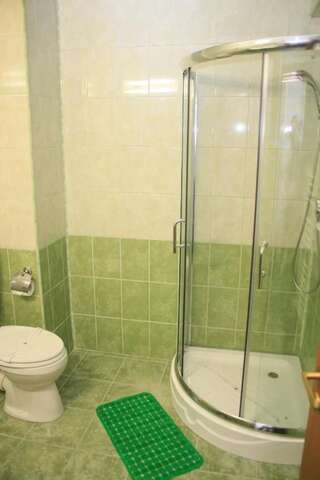 Отель Hotel Sir Orhideea Бухарест Стандартный двухместный номер с 1 кроватью-16