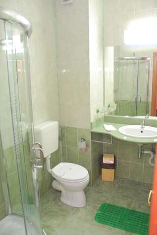 Отель Hotel Sir Orhideea Бухарест Стандартный двухместный номер с 1 кроватью-17